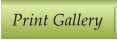 Print Gallery